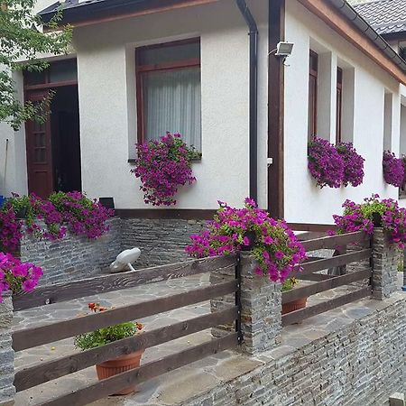 Villa Ana Marija Duracka Reka Luaran gambar