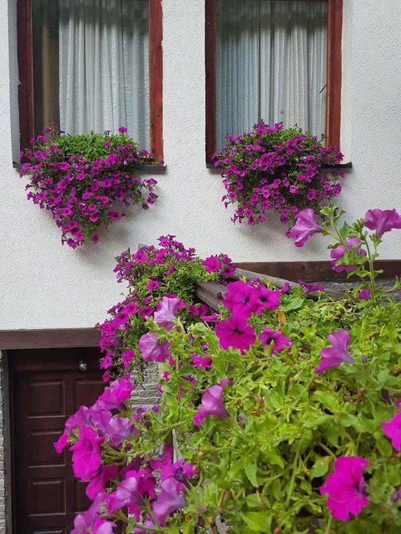 Villa Ana Marija Duracka Reka Luaran gambar