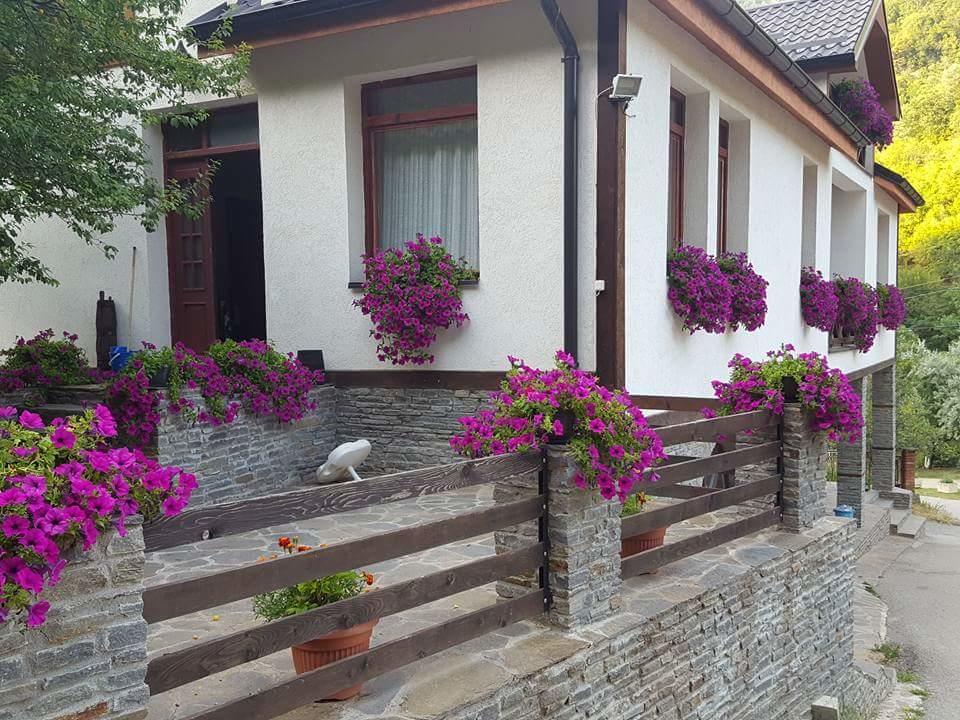 Villa Ana Marija Duracka Reka Luaran gambar